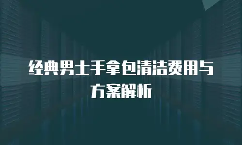 经典男士手拿包清洁费用与方案解析