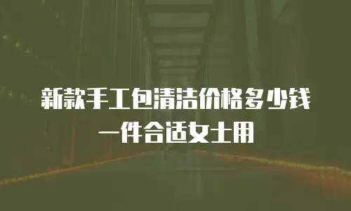 新款手工包清洁价格多少钱一件合适女士用