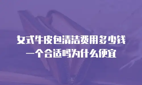 女式牛皮包清洁费用多少钱一个合适吗为什么便宜