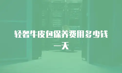 轻奢牛皮包保养费用多少钱一天