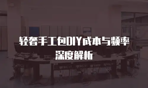 轻奢手工包DIY成本与频率深度解析