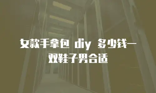 女款手拿包 diy 多少钱一双鞋子男合适