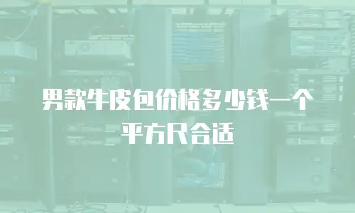男款牛皮包价格多少钱一个平方尺合适