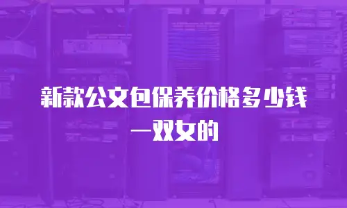 新款公文包保养价格多少钱一双女的