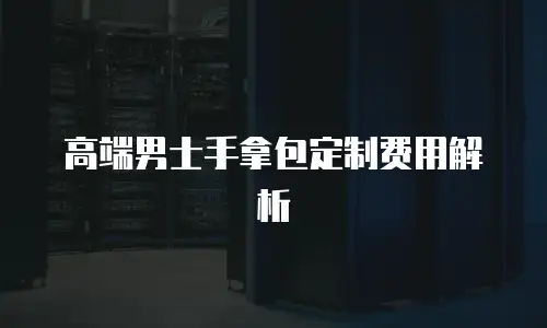 高端男士手拿包定制费用解析