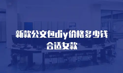 新款公文包diy价格多少钱合适女款