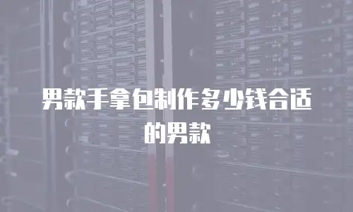 男款手拿包制作多少钱合适的男款