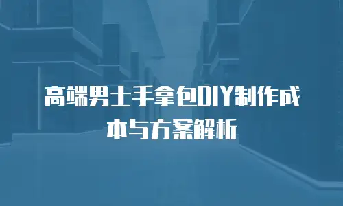 高端男士手拿包DIY制作成本与方案解析