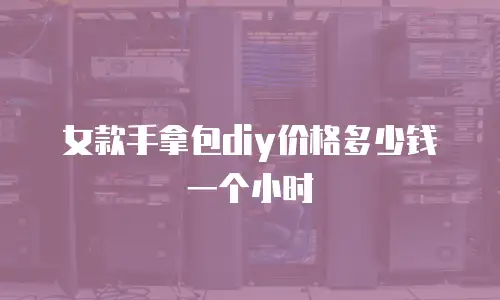 女款手拿包diy价格多少钱一个小时