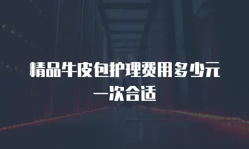 精品牛皮包护理费用多少元一次合适