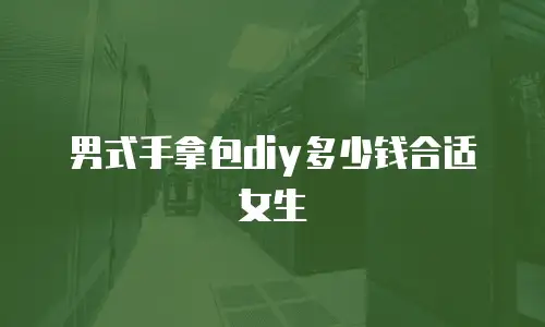 男式手拿包diy多少钱合适女生