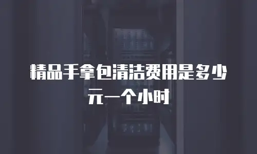 精品手拿包清洁费用是多少元一个小时