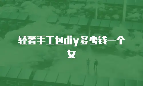 轻奢手工包diy多少钱一个女