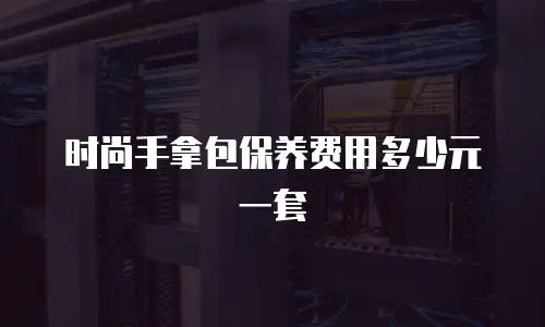 时尚手拿包保养费用多少元一套
