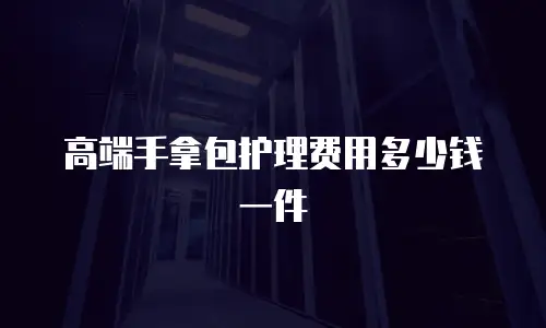 高端手拿包护理费用多少钱一件
