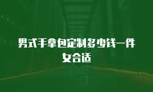 男式手拿包定制多少钱一件女合适