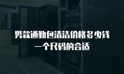 男款通勤包清洁价格多少钱一个尺码的合适
