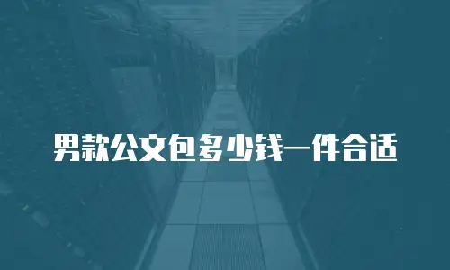男款公文包多少钱一件合适