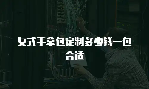 女式手拿包定制多少钱一包合适