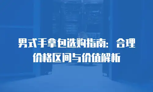 男式手拿包选购指南：合理价格区间与价值解析