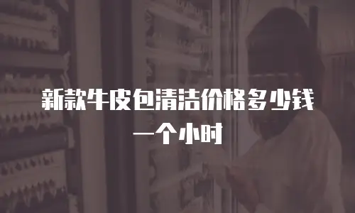 新款牛皮包清洁价格多少钱一个小时