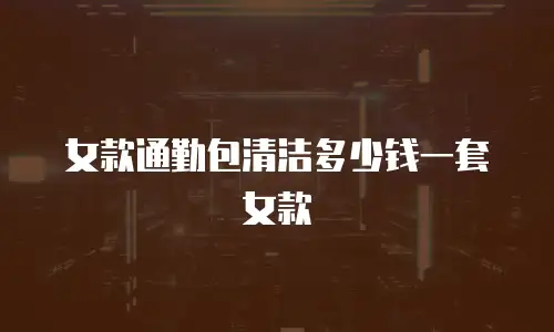 女款通勤包清洁多少钱一套女款