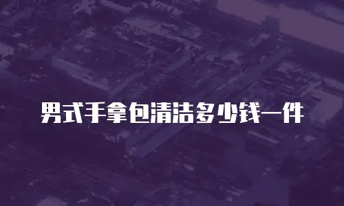 男式手拿包清洁多少钱一件
