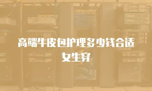 高端牛皮包护理多少钱合适女生穿