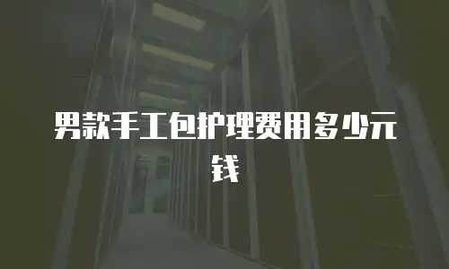 男款手工包护理费用多少元钱