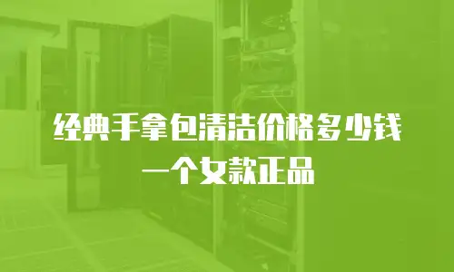 经典手拿包清洁价格多少钱一个女款正品