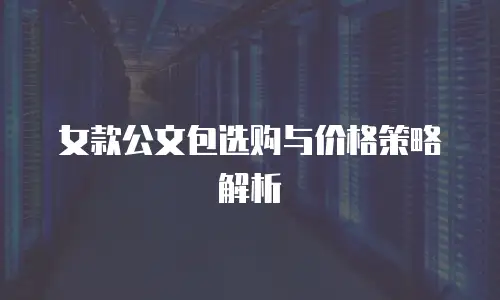 女款公文包选购与价格策略解析