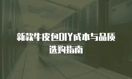 新款牛皮包DIY成本与品质选购指南