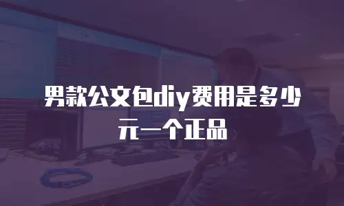 男款公文包diy费用是多少元一个正品