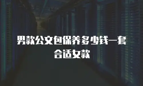 男款公文包保养多少钱一套合适女款