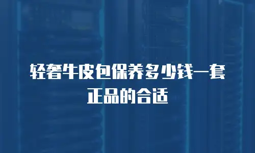 轻奢牛皮包保养多少钱一套正品的合适