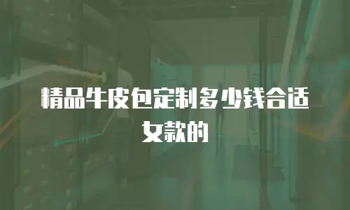 精品牛皮包定制多少钱合适女款的