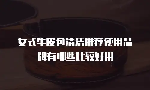 女式牛皮包清洁推荐使用品牌有哪些比较好用