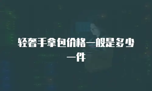 轻奢手拿包价格一般是多少一件