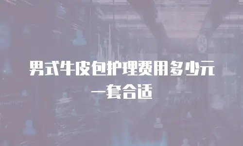 男式牛皮包护理费用多少元一套合适
