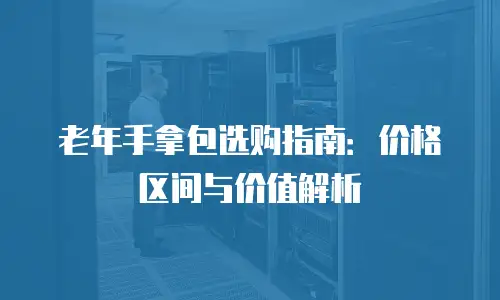 老年手拿包选购指南：价格区间与价值解析