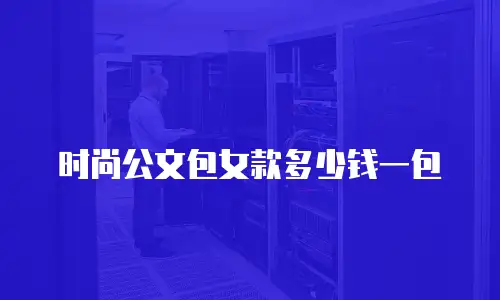 时尚公文包女款多少钱一包