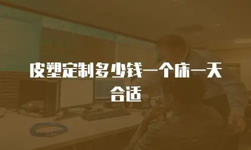 皮塑定制多少钱一个床一天合适