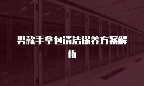 男款手拿包清洁保养方案解析