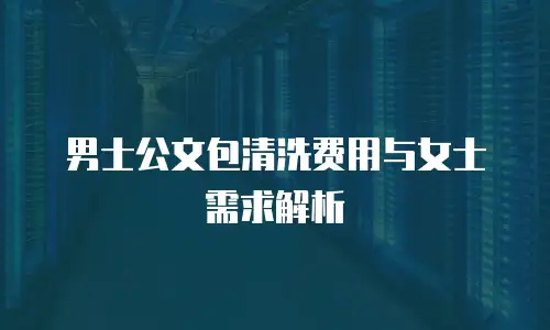 男士公文包清洗费用与女士需求解析
