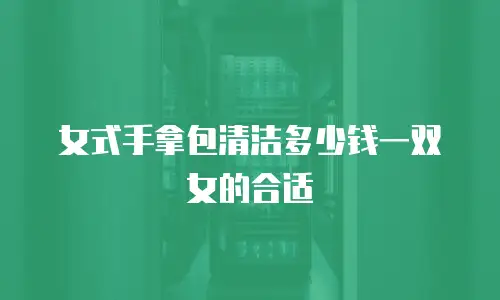 女式手拿包清洁多少钱一双女的合适