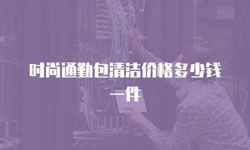 时尚通勤包清洁价格多少钱一件
