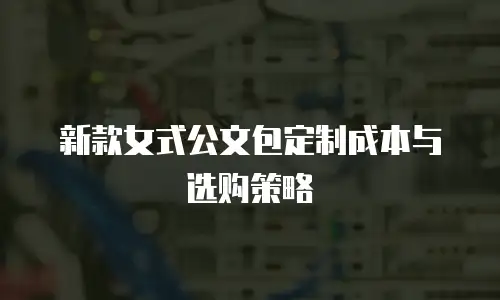 新款女式公文包定制成本与选购策略