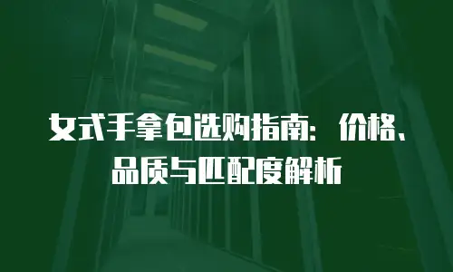 女式手拿包选购指南：价格、品质与匹配度解析