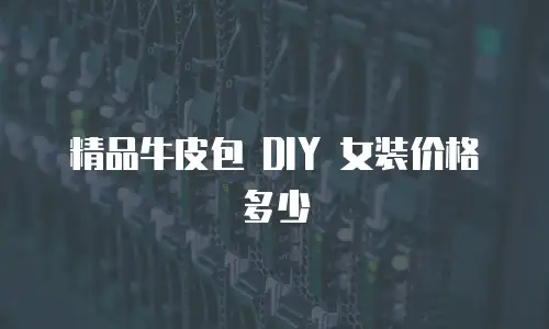 精品牛皮包 DIY 女装价格多少