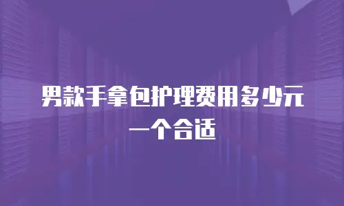 男款手拿包护理费用多少元一个合适